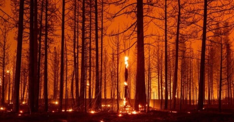 DIXIE FIRE: 2nd Largest Wildfire in the California History and Pyro cumulonimbus