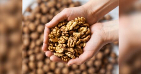 Eating Walnuts on Regular Basis Increases Lifespan, Study Suggests