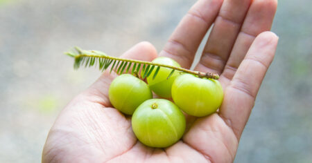 All about Amla (Indian Gooseberry) & its benefits