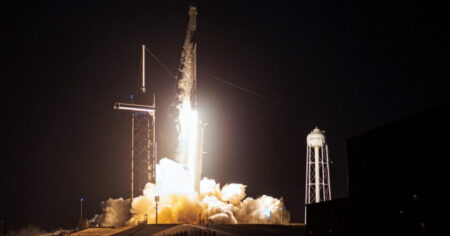 SpaceX Launches Insects, Avocados and Robot to Space Station