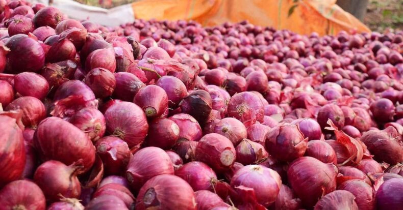 IT department conducts look on onion merchants' premises as costs take off