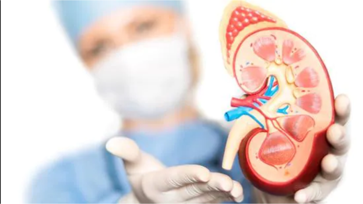 India is presently ranked third in the world for organ transplantation: Mandaviya Mansukh
