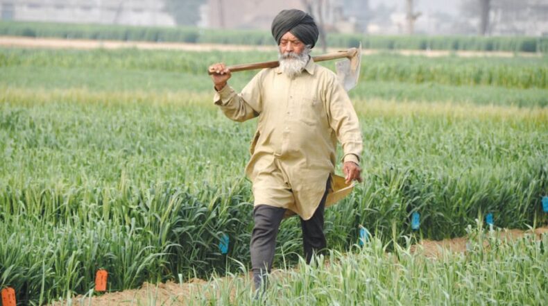 Punjab farm revolt creates skeptical voters, the change that people desire from inside