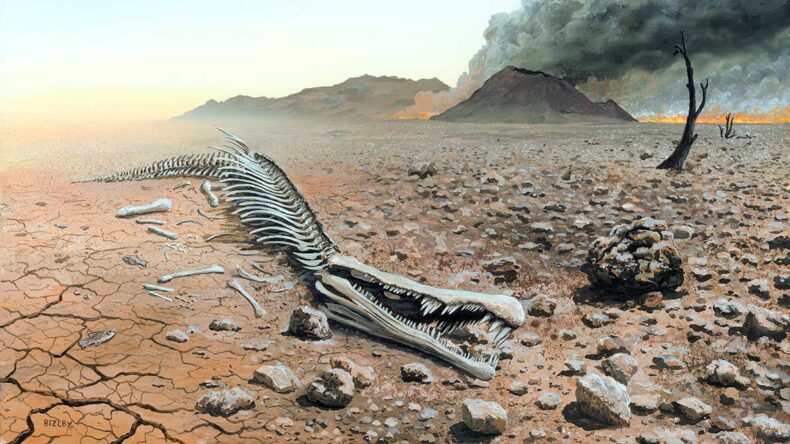 Study blames human activities for sixth mass extinction event in progress