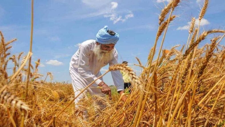 Russia-Ukraine crisis might give India an opportunity to export more wheat
