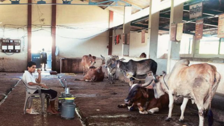 UP: Muslim man brutally thrashed on suspicion of cattle meat smuggling  - Asiana Times