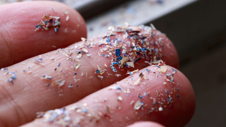 Microplastics in Human Blood: Research Reported