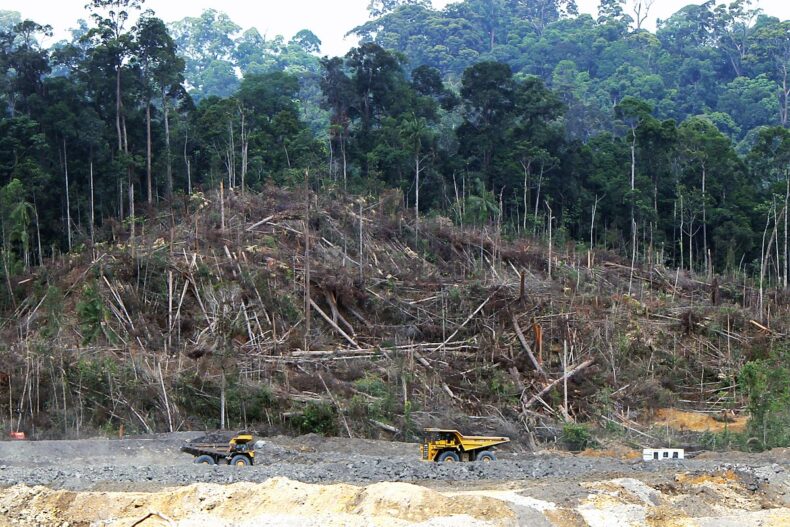Amazon Deforestration