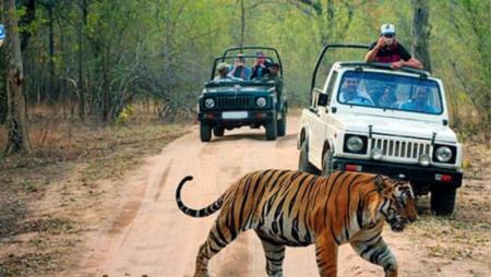Rajasthan's Sariska Tiger Reserve village resettlement idea gathers pace
