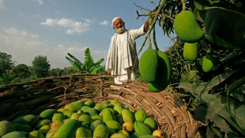 Sri Rama Sene accuses Muslim mango traders: promotes Hindu youths to take over 