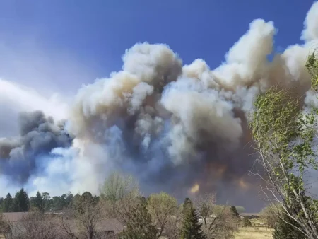 Forest fire increasing its size in Arizona