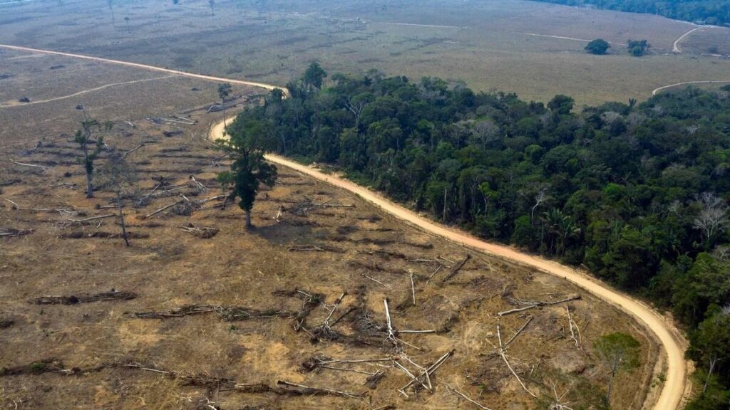 Deforestration in Brazil