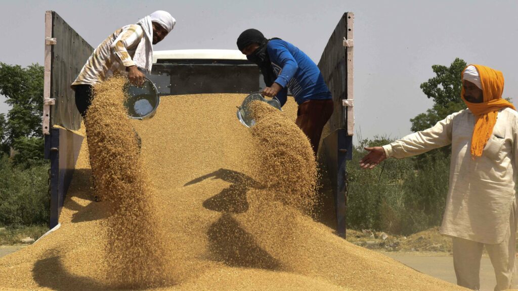 India Relaxes Wheat Export Ban; Allows Export of Previous Consignment - Asiana Times