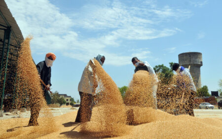 US hopes to convince India to 'reconsider' its decision to restrict wheat export  - Asiana Times