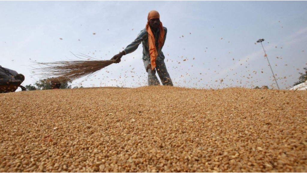 India bans wheat exports amidst world food supply concerns. - Asiana Times