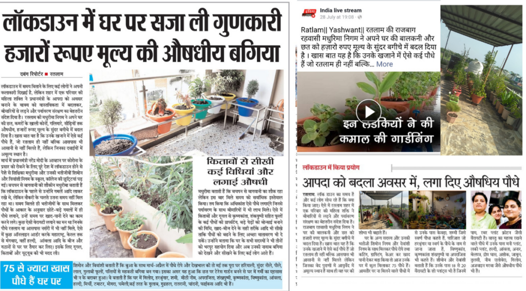 Home Gardening – a stroke of luck for the Environment - Asiana Times