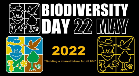 Egypt celebrated the World Day for Biological Diversity 2022 - Asiana Times