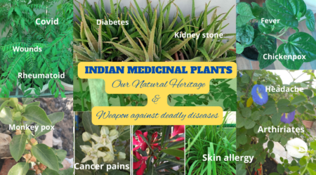 Indian medicinal plants provides hopes against deadly diseases - Asiana Times