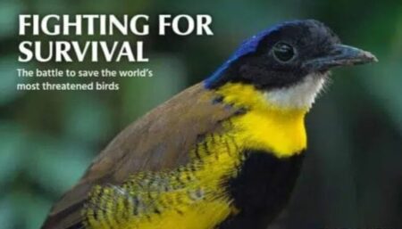 Witnessing loom marking in 48% of bird species - Asiana Times