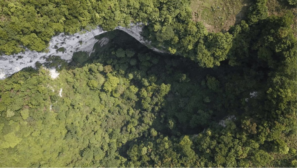 A 630-foot Deep Sinkhole With A Forest Hidden Inside Discovered In ...