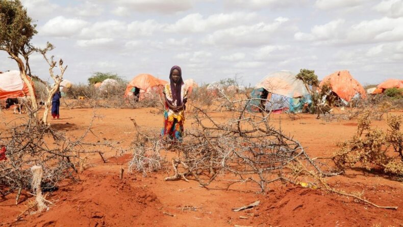 Trapped Between Extremists and Extreme Weather, Somalis Brace for Famine