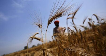 India Relaxes Wheat Export Ban; Allows Export of Previous Consignment - Asiana Times