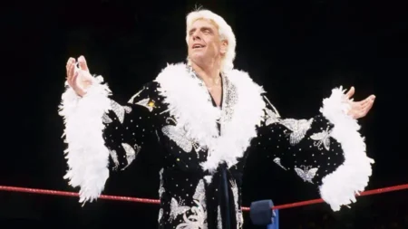 Ric Flair picture