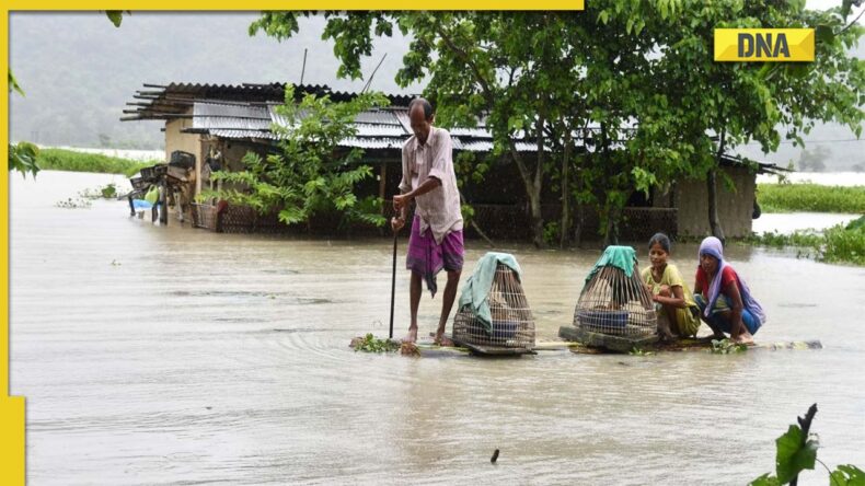 Assam flood situation worsens. 5 more dead, 2.4 million affected - Asiana Times
