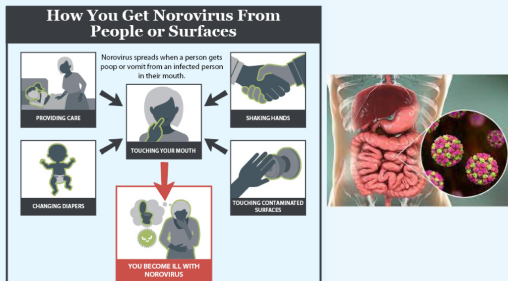 <strong>Kerala  confirms two cases ‘highly infectious’ of Norovirus in children</strong><strong></strong> - Asiana Times