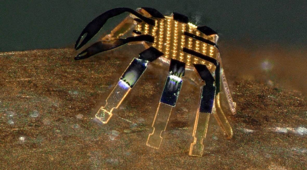 Tiny crab robot
