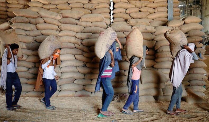 UAE Suspends Indian Wheat Re-Exports for Four Months