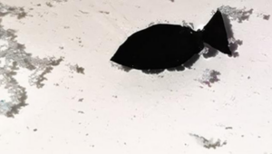 Scientists’ innovation of bionic robo-fish will clear microplastics from seas