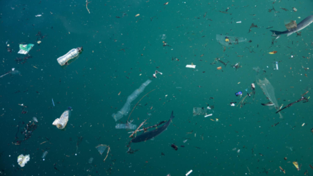 Microplastics in waterbodies can produce antibiotics reveals a study. - Asiana Times