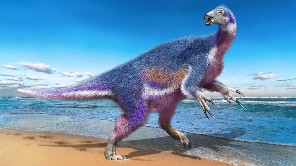 New species of the now-extinct dinosaurs found in Japan.  - Asiana Times