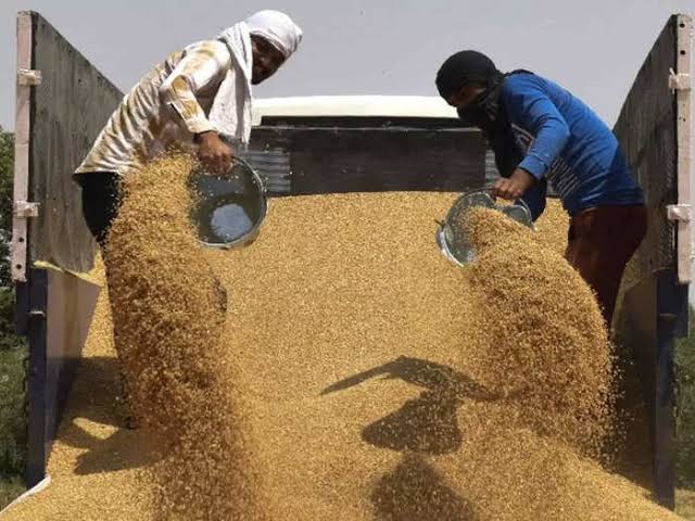 UAE Suspends Indian Wheat Re-Exports for Four Months - Asiana Times