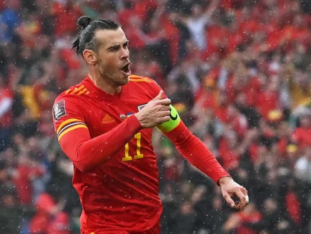 Wales Spoil Ukrainian Dreams to Reach First World Cup In 64 Years  - Asiana Times