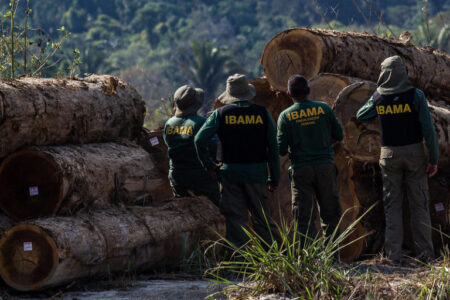 <strong>Brazil authorities ignoring deforestation during President Bolsonaro’s term</strong> - Asiana Times