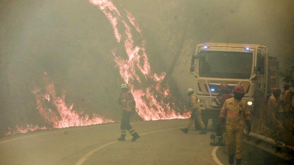 A wild fire in Portugal