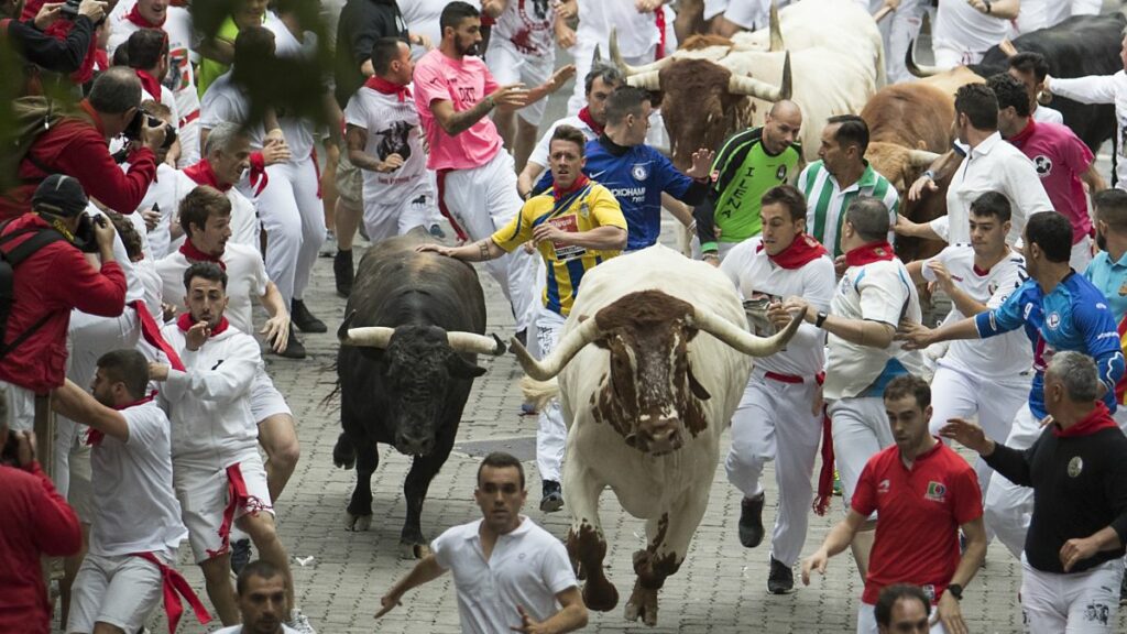 Three dead in Spain Bull run