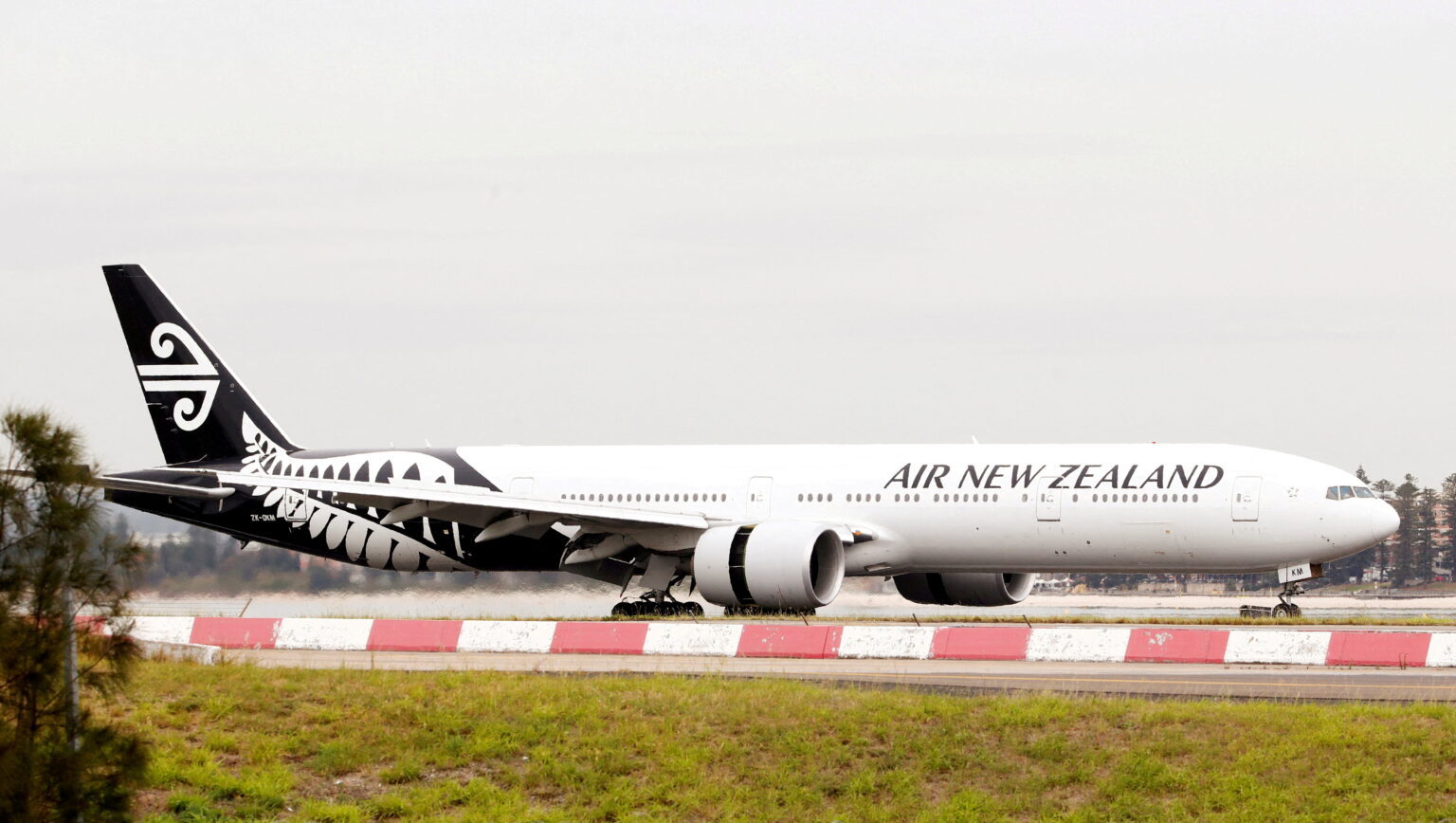 Air New Zealand launches Bunk Beds for Economy Class - Asiana Times