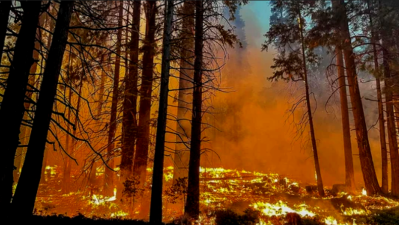 Yosemite Wildfire turns into one of California’s largest wildfires of the year