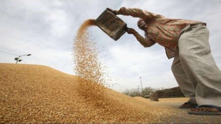 India exports 1.8 million tones of wheat to dozen of nations - Asiana Times