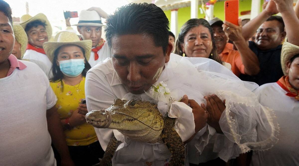 Mexican village mayor marries an alligator bride - Asiana Times