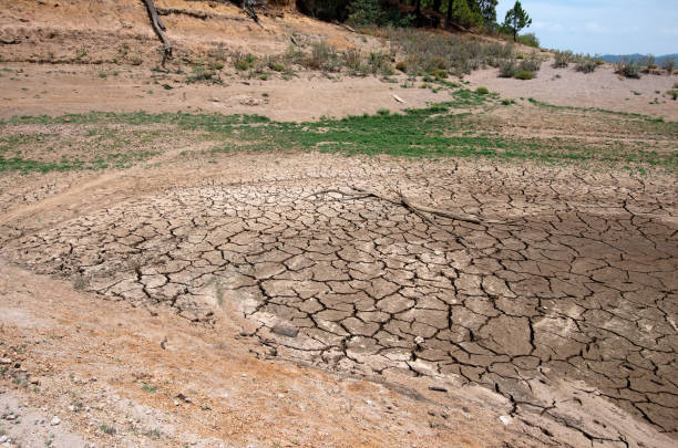 <strong>Drought in Mexico threatens the economy</strong> - Asiana Times