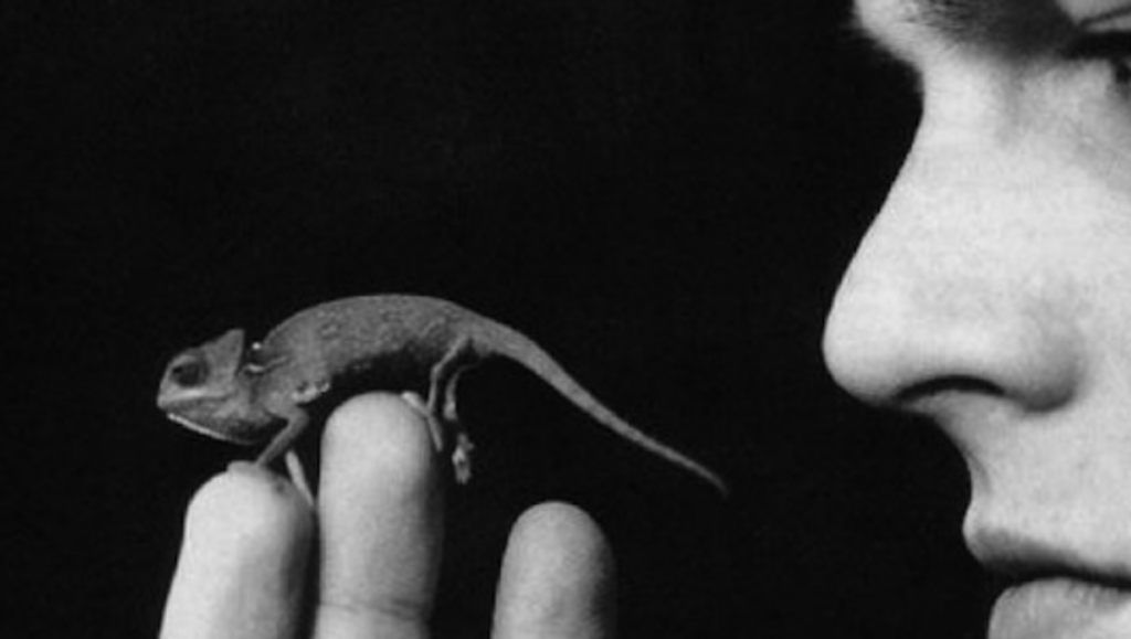 Leonardo DiCaprio was often spotted with his pet lizard on the set.