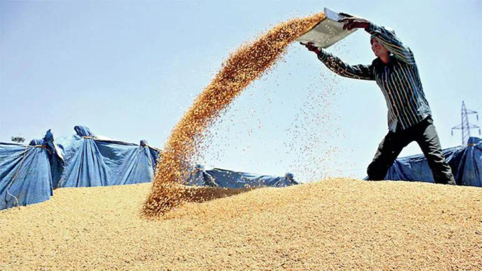 Wheat exports to dozen nations from India 
