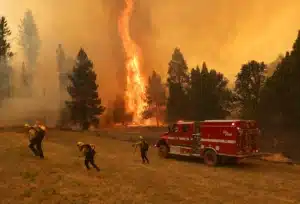 Yosemite Wildfire turns into one of California’s largest wildfires of the year