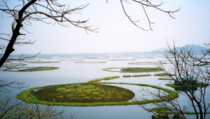 The five new wetlands bring India's total to 54 Ramsar Sites