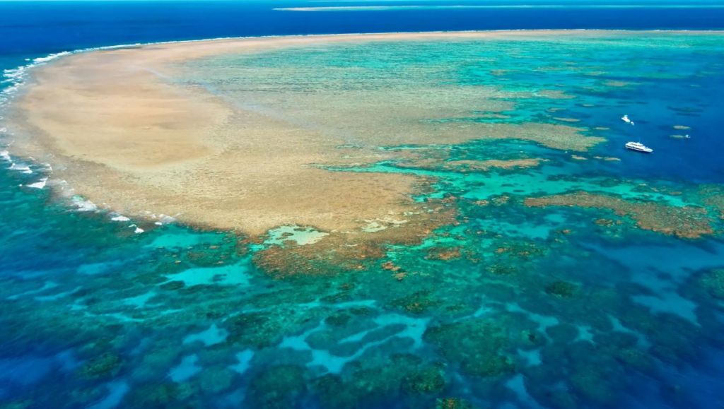 Australia's Great Barrier Reef is still very vulnerable: Survey