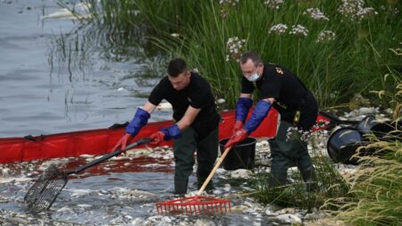Mysterious death of fishes in Poland's Oder River.